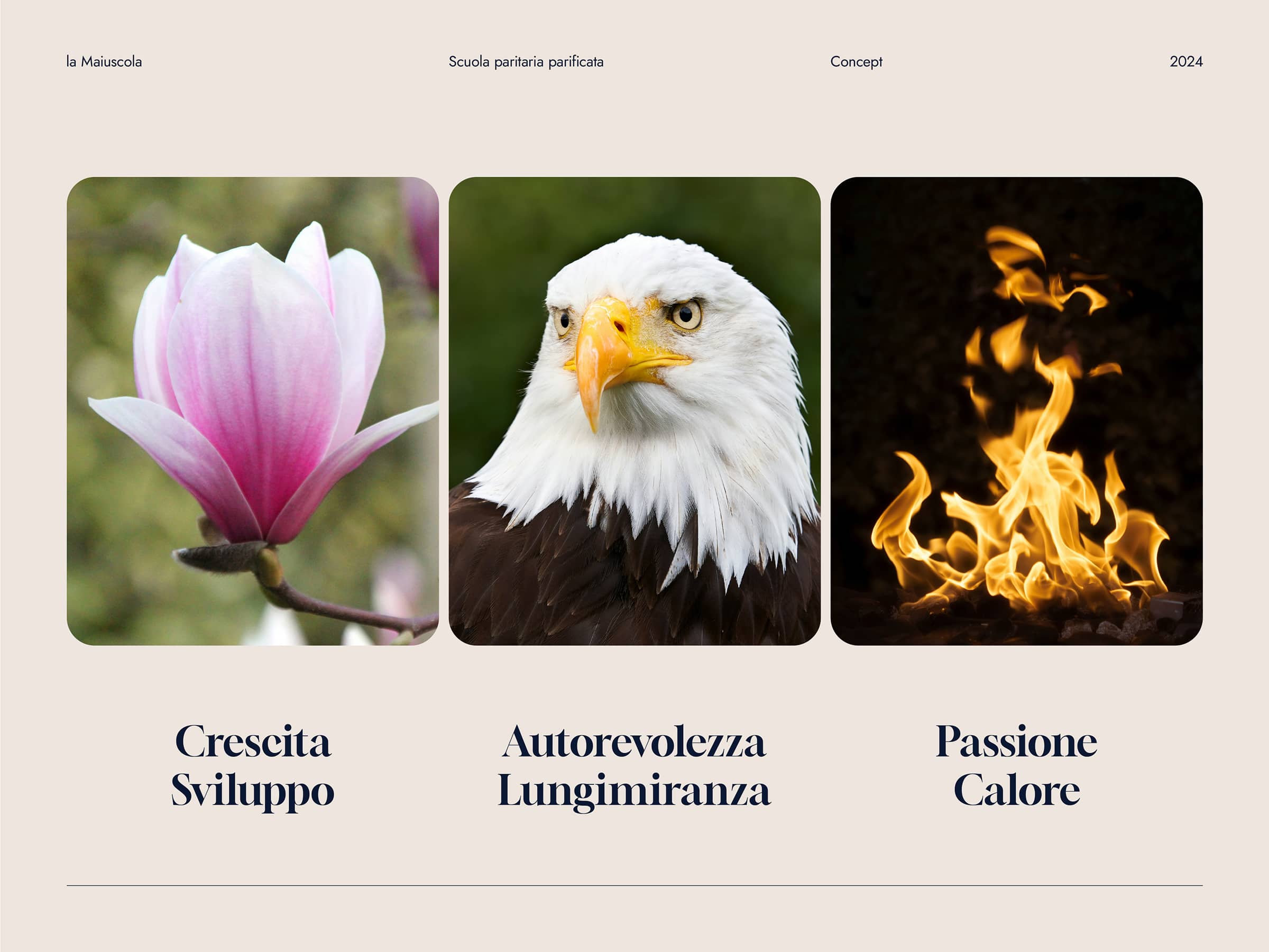 Three images representing concepts: a pink magnolia flower for growth and development, a bald eagle for authority and foresight, and yellow flames for passion and warmth.